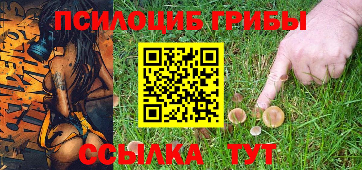 Псилоцибиновые грибы Psilocybe  Псилоцибиновые грибы мухоморы  Вход с VPN  Новоалександровск 